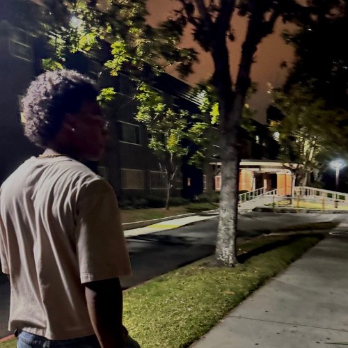 sleam - Artist Profile